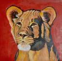 Lioness-11