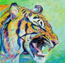 Tiger-9